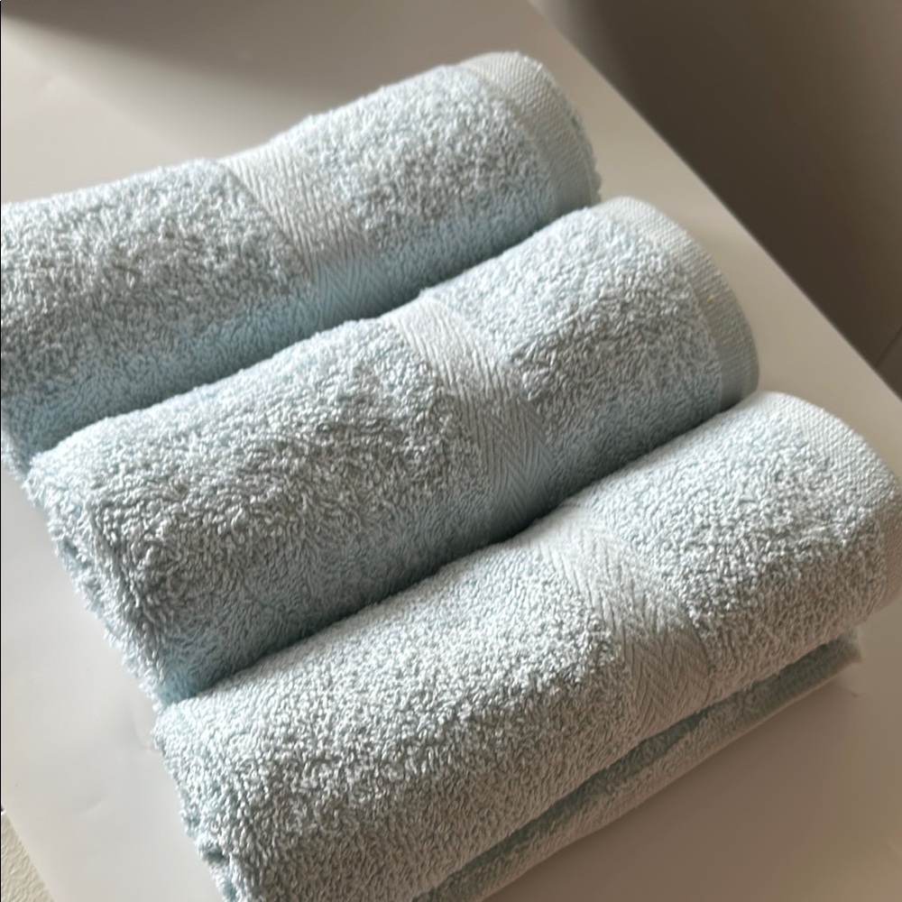4 Plush Blue Terry Cloth Bath Towels